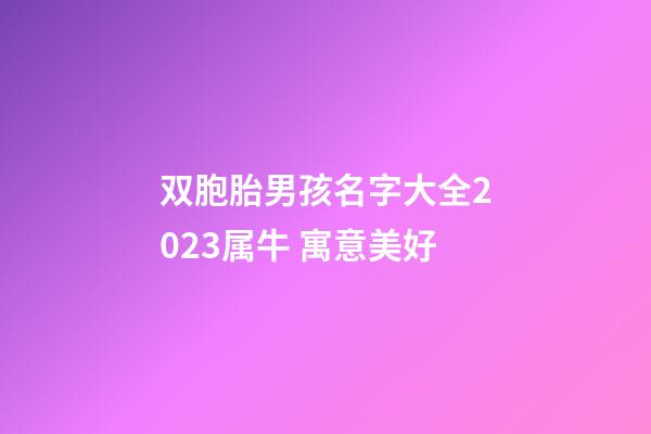双胞胎男孩名字大全2023属牛 寓意美好
